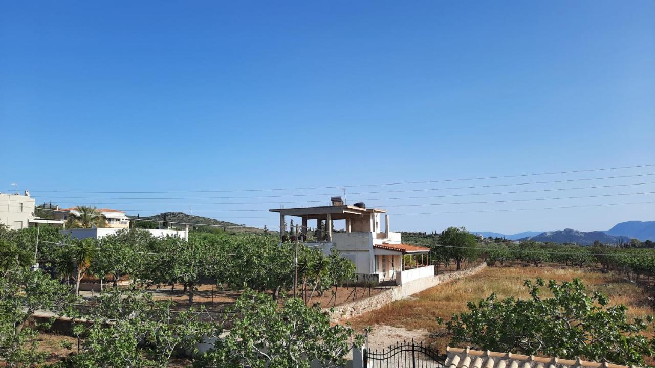 Mosxonas House