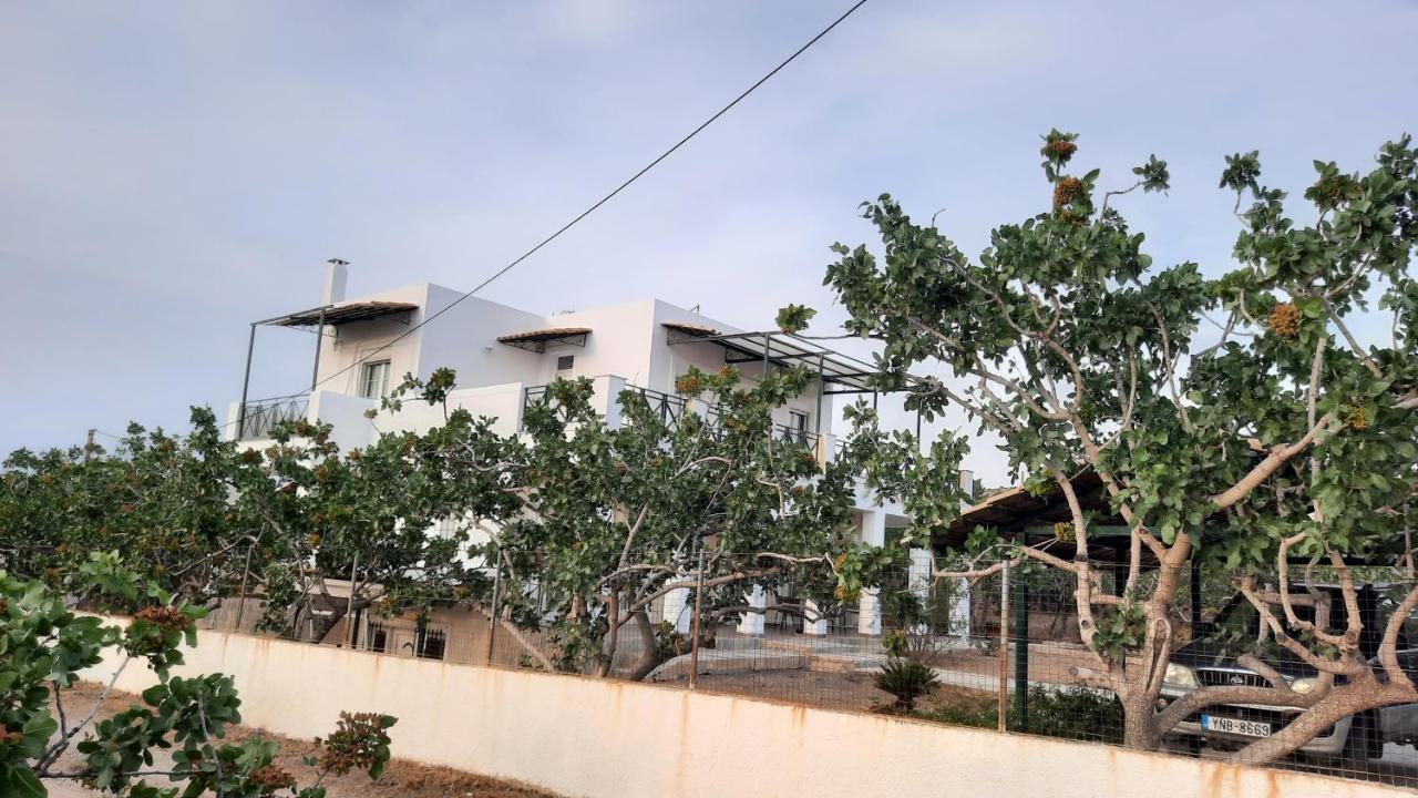 Mosxonas House Apartment Aegina